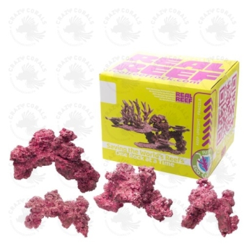 Real Reef Arches - Medium 4stk.